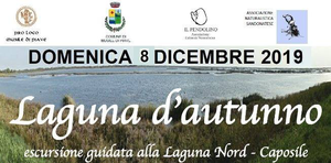 Logo laguna d'autunno