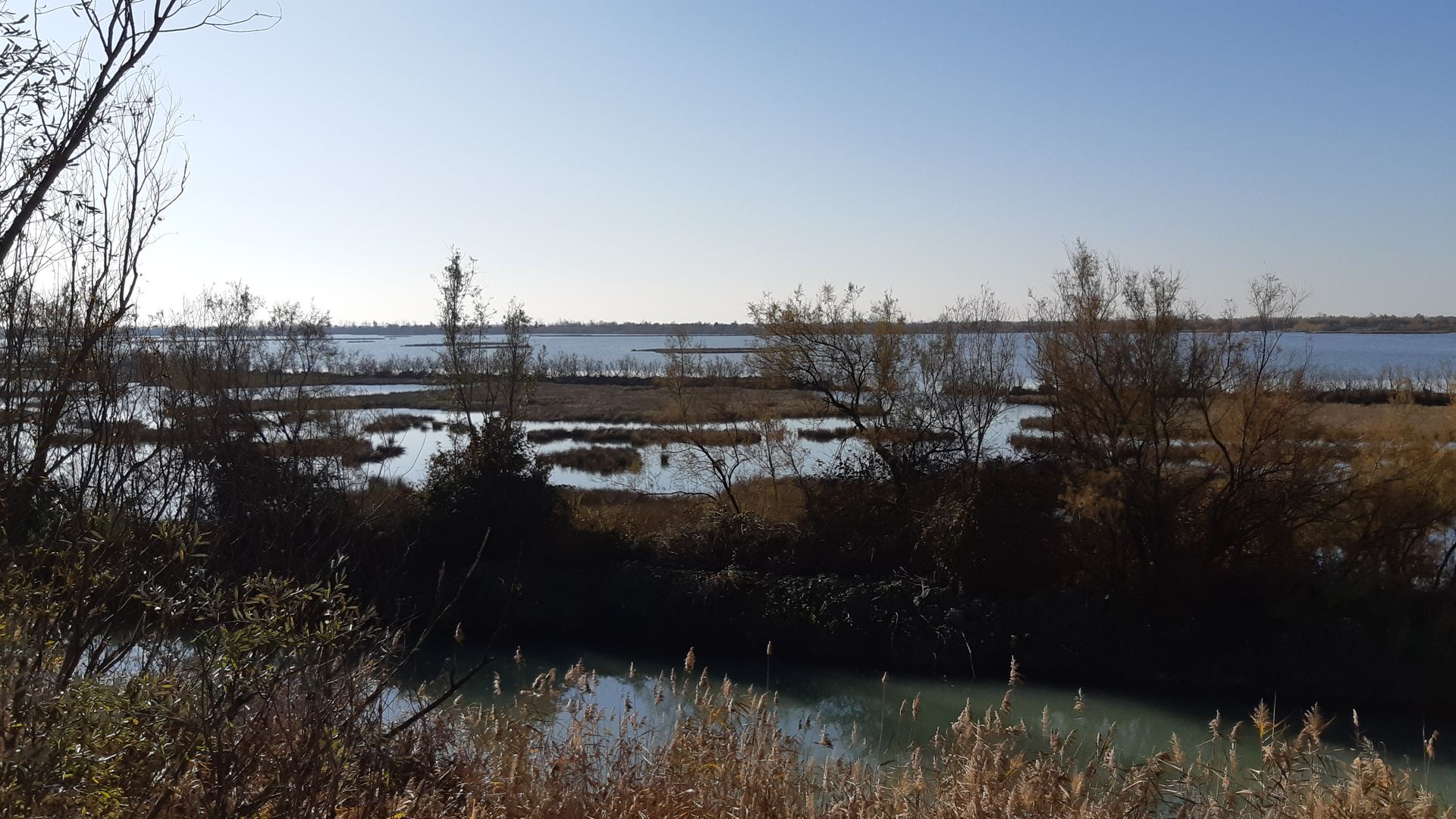 laguna d'autunno