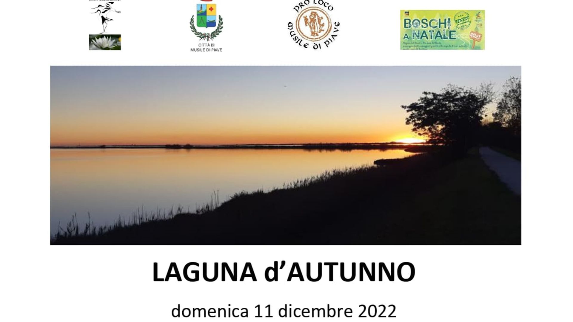 LAGUNA D'AUTUNNO 2022